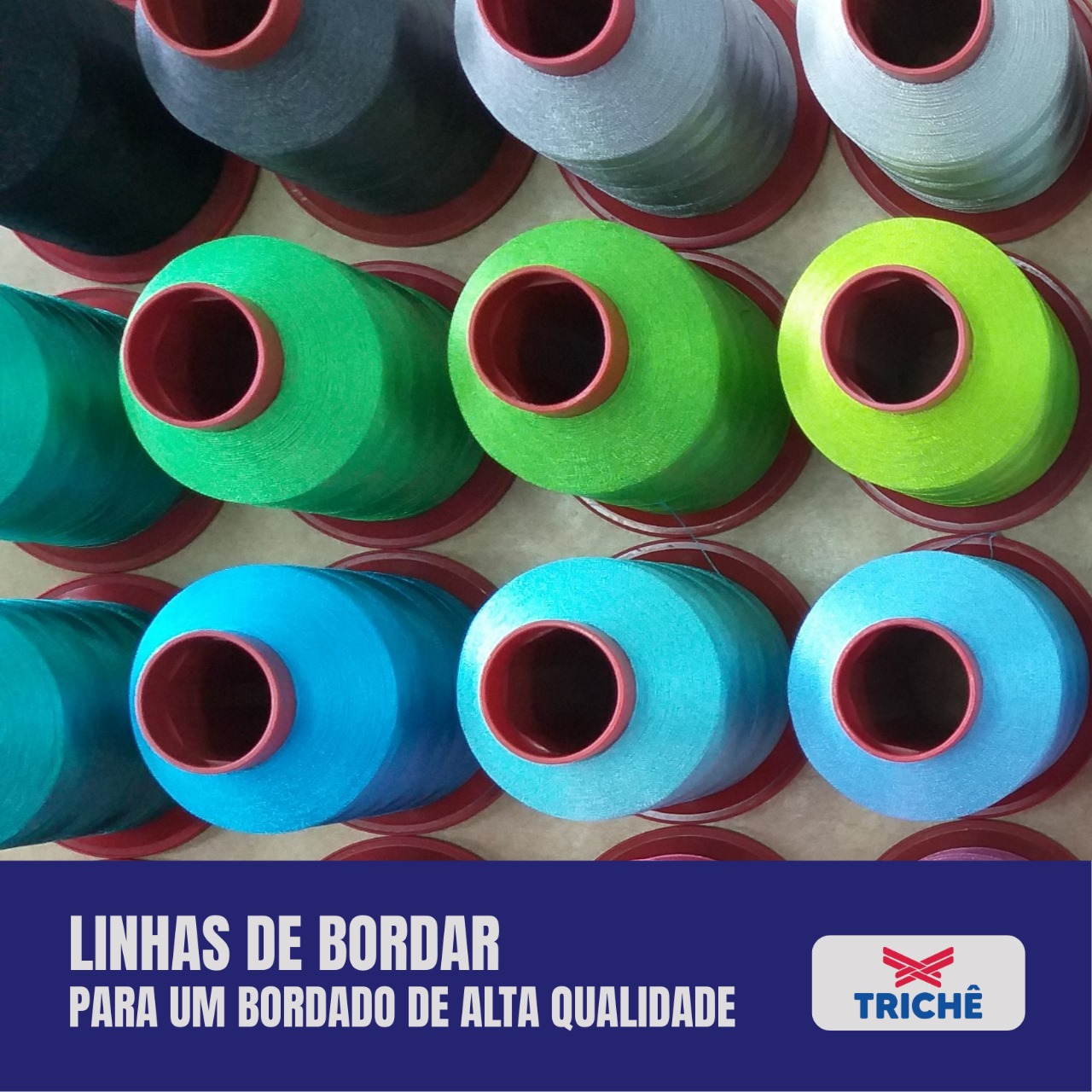 foto04